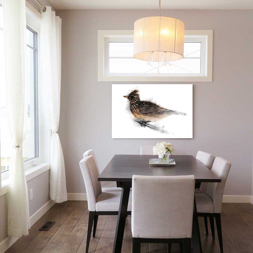 Skylark colour