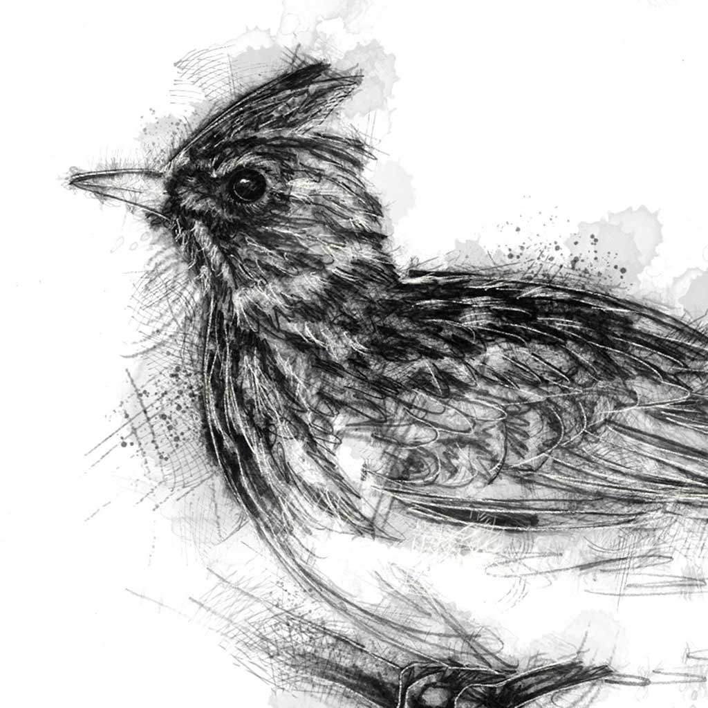 Skylark in winter