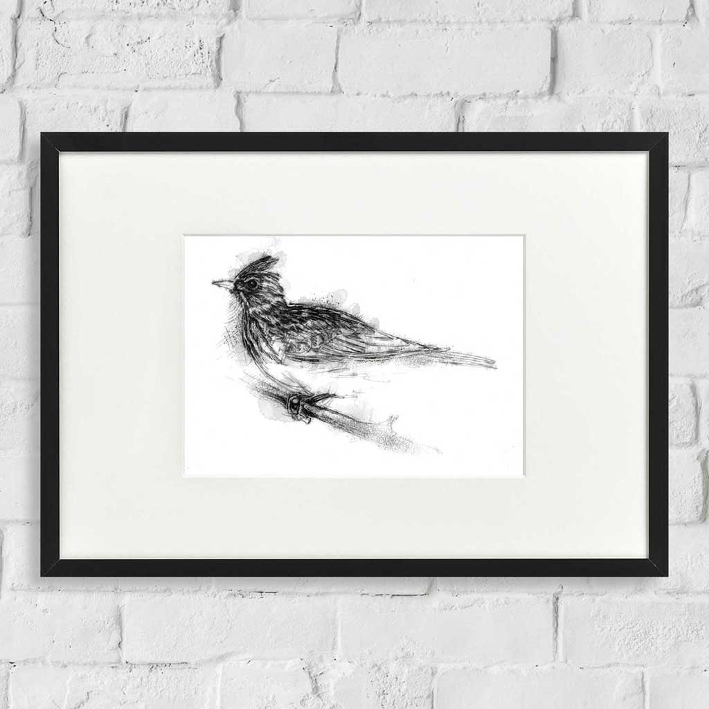 Skylark in winter