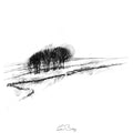 Small copse