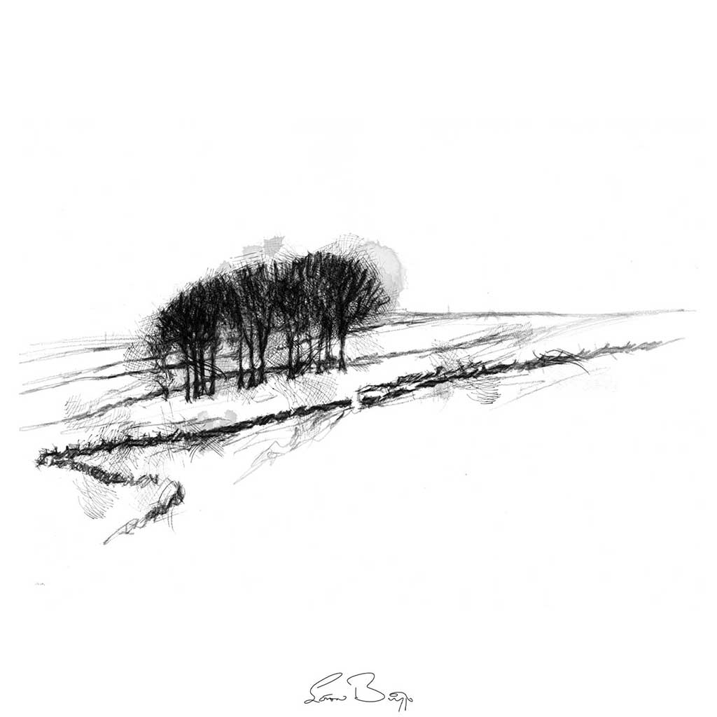 Small copse