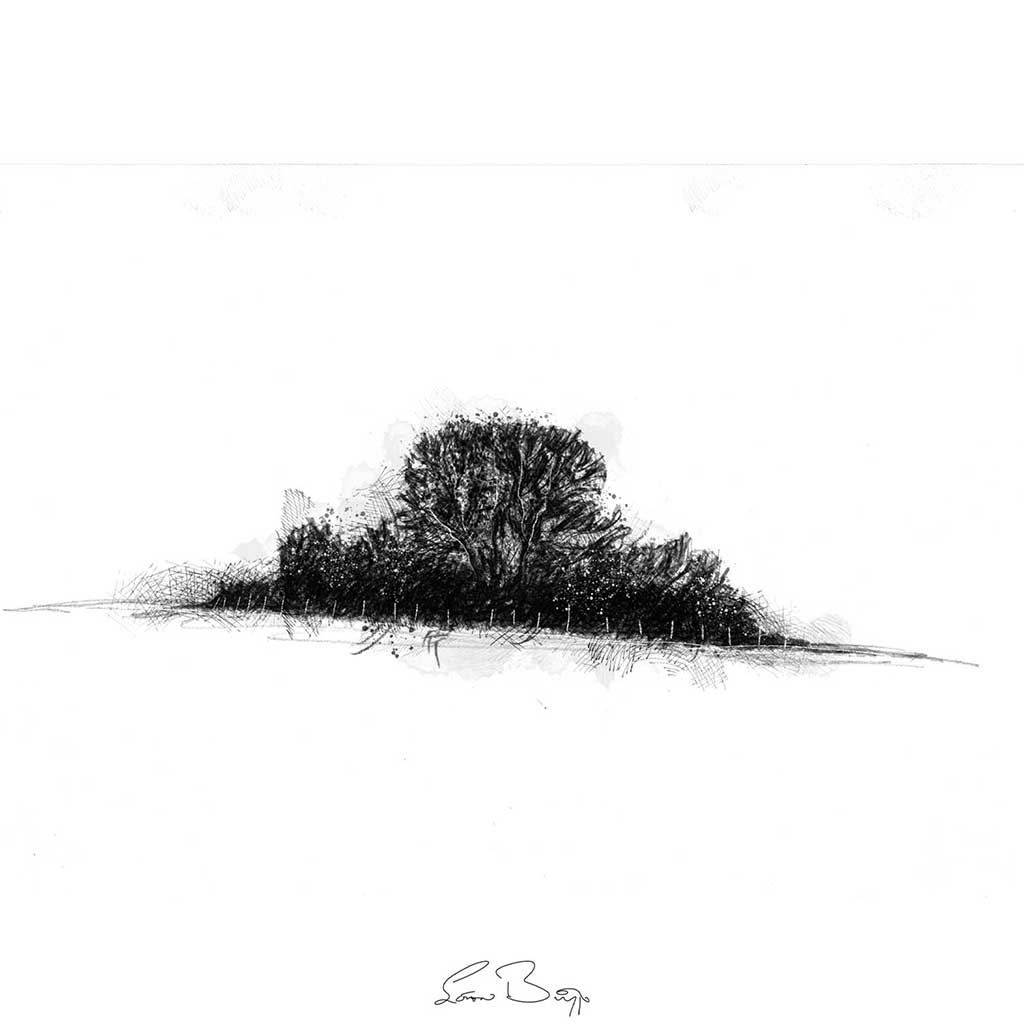 Small copse