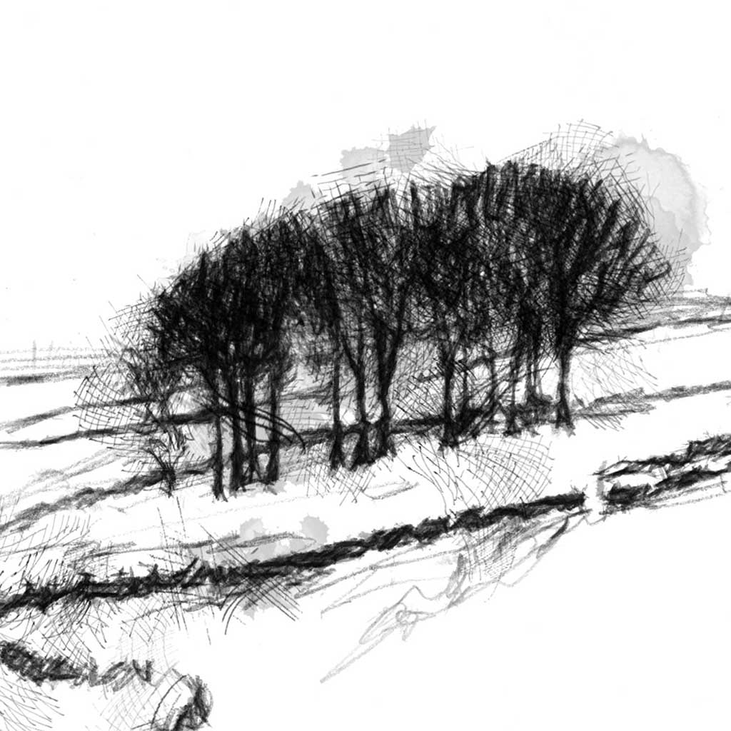 Small copse