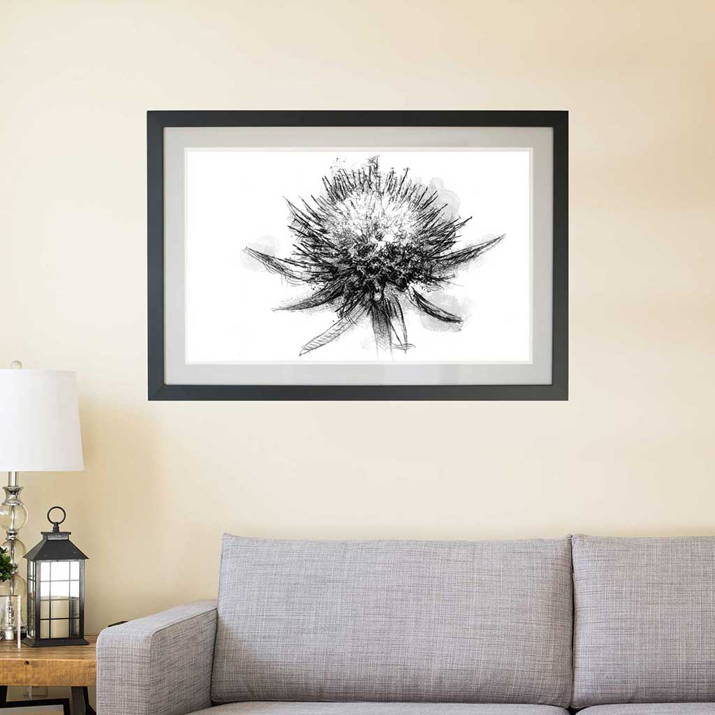 Small scabiosa