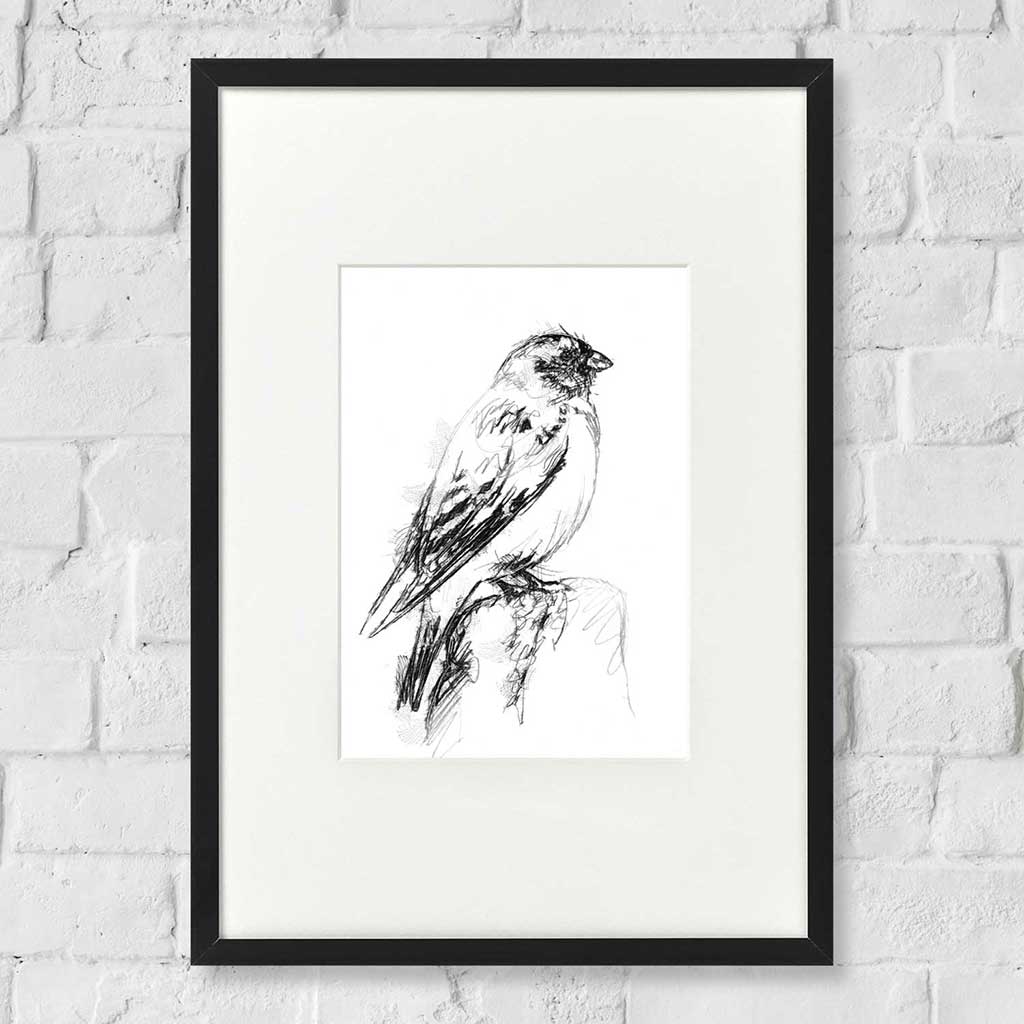 Snow bunting