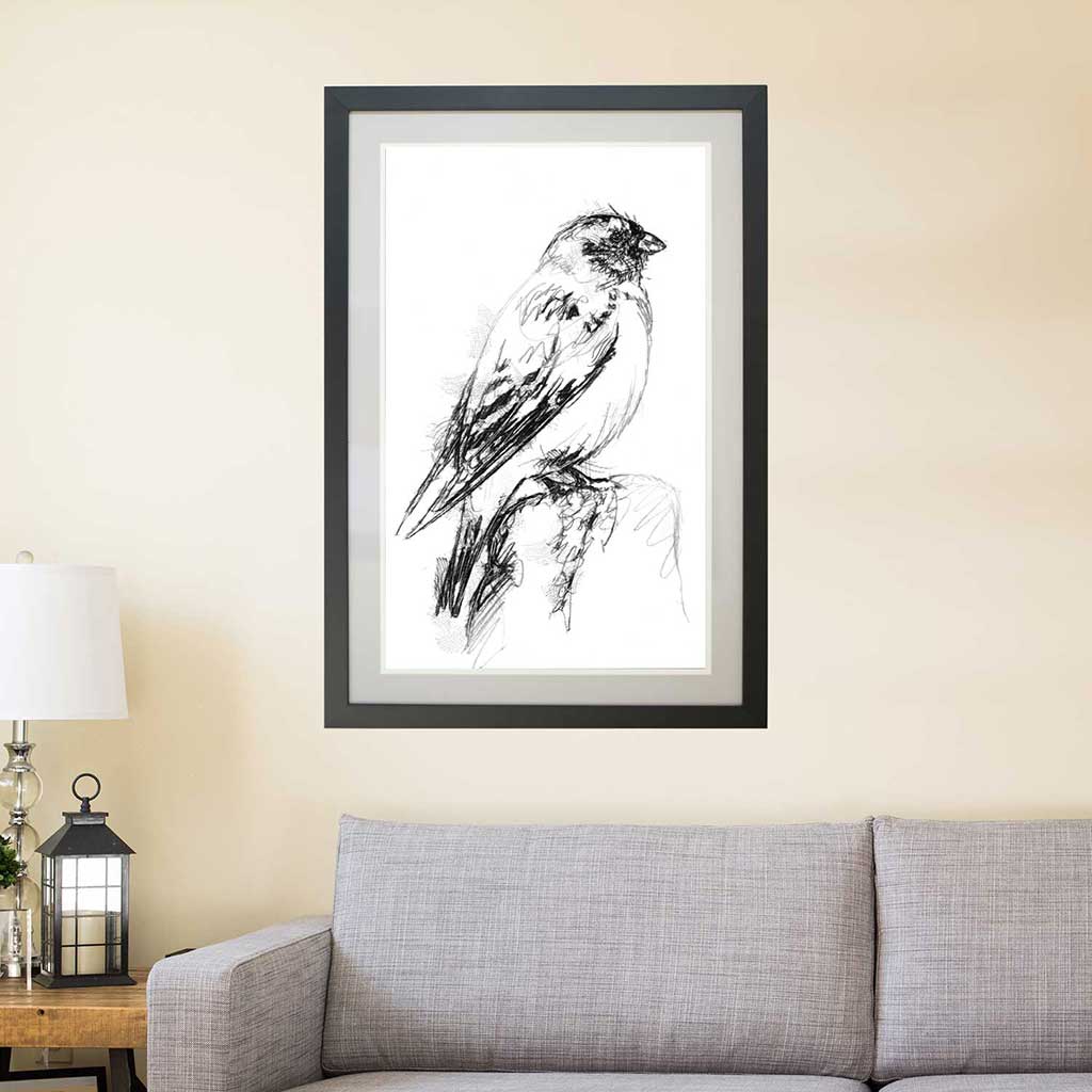 Snow bunting