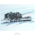 Snowy copse original sketch