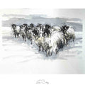 Snow herd