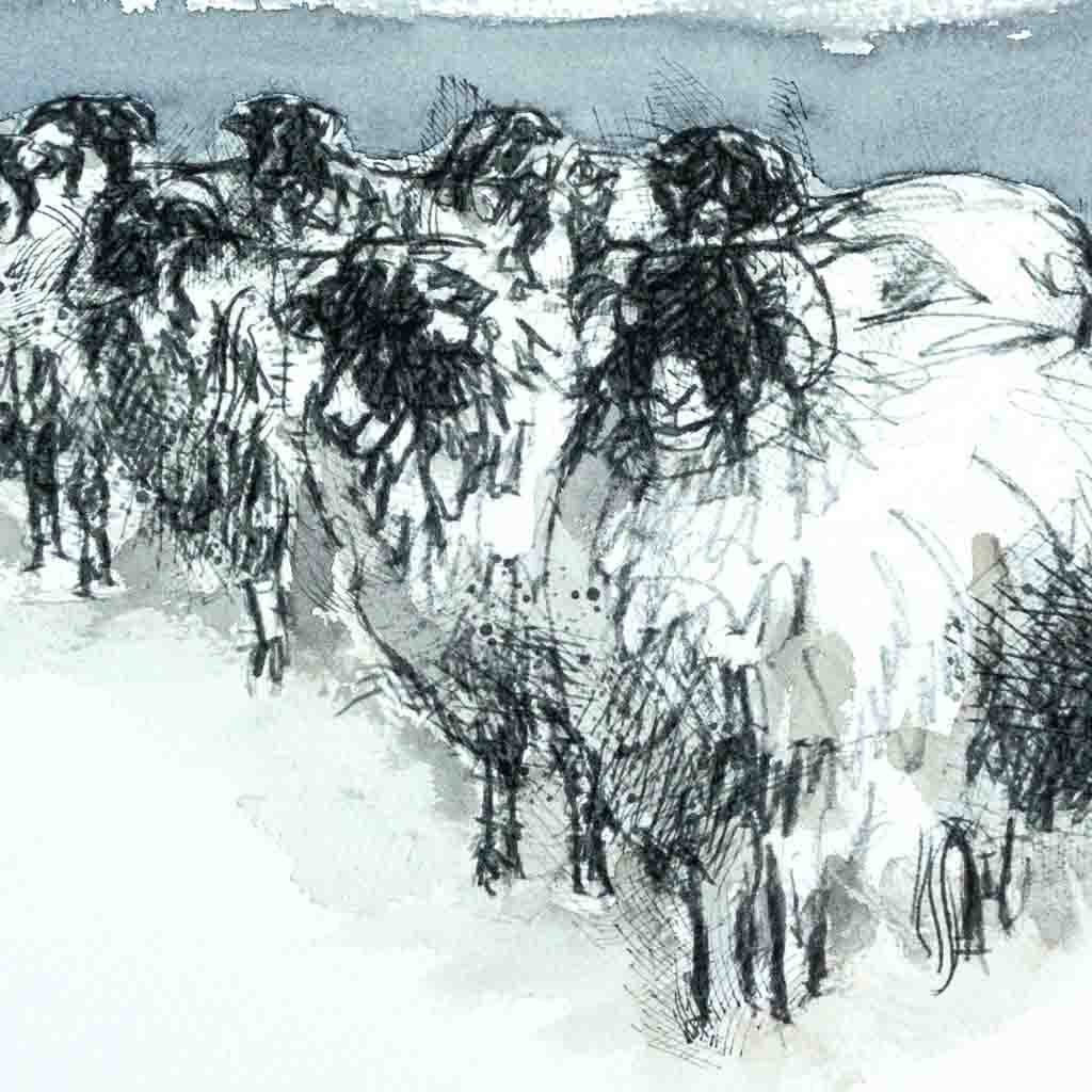 Snow sheep watercolour