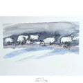 Snow sheep