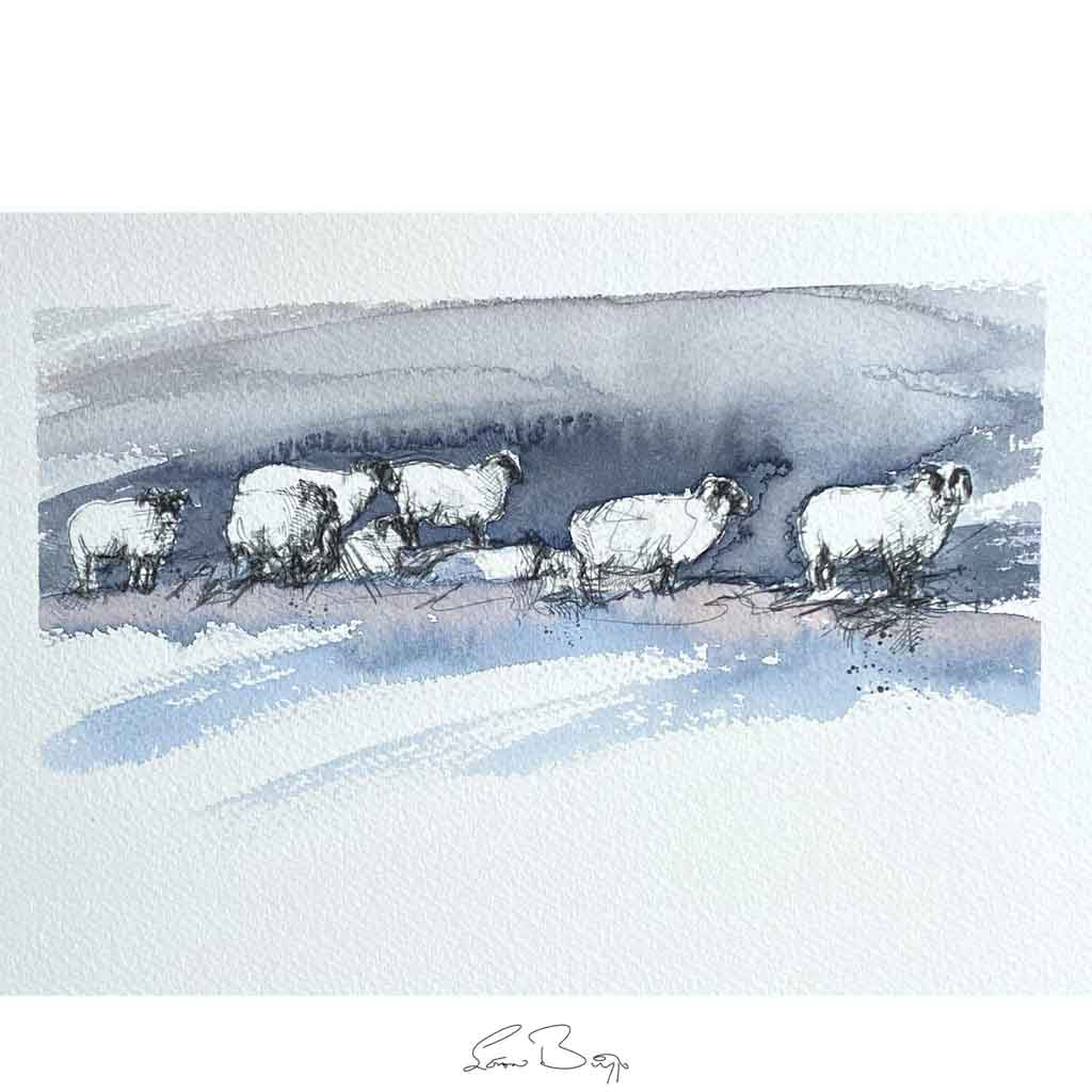 Snow sheep