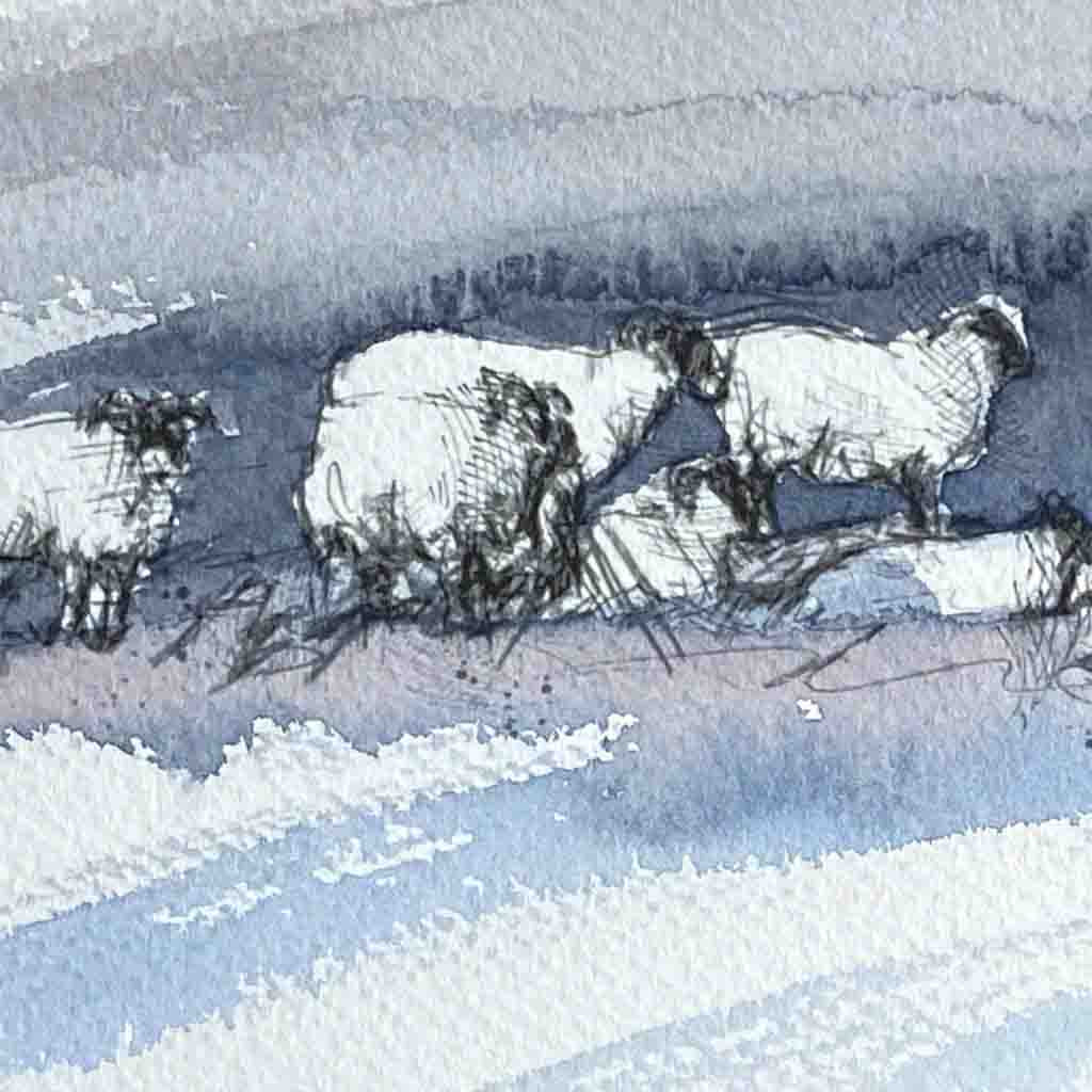 Snow sheep