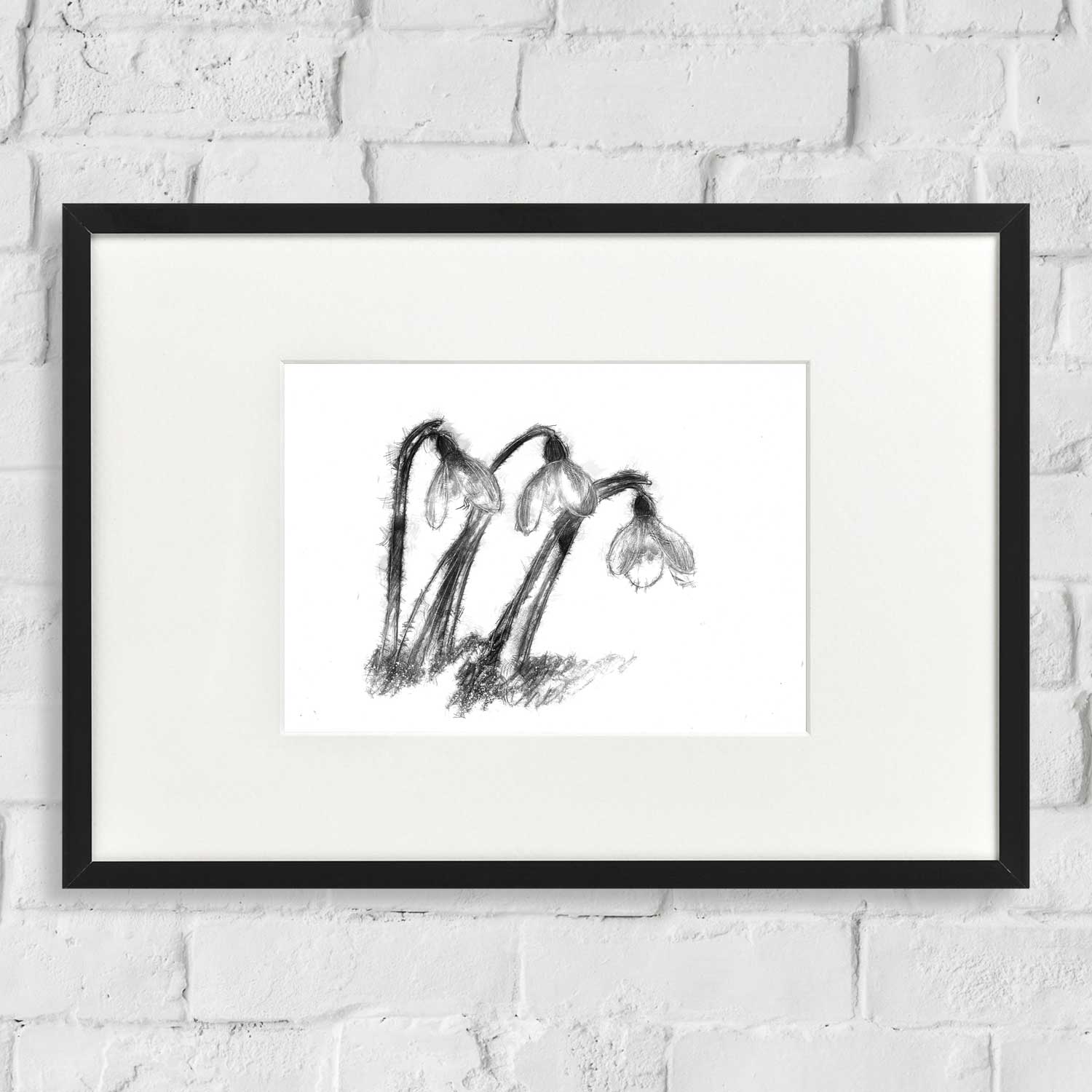 Snowdrops