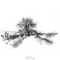 Snowy lane