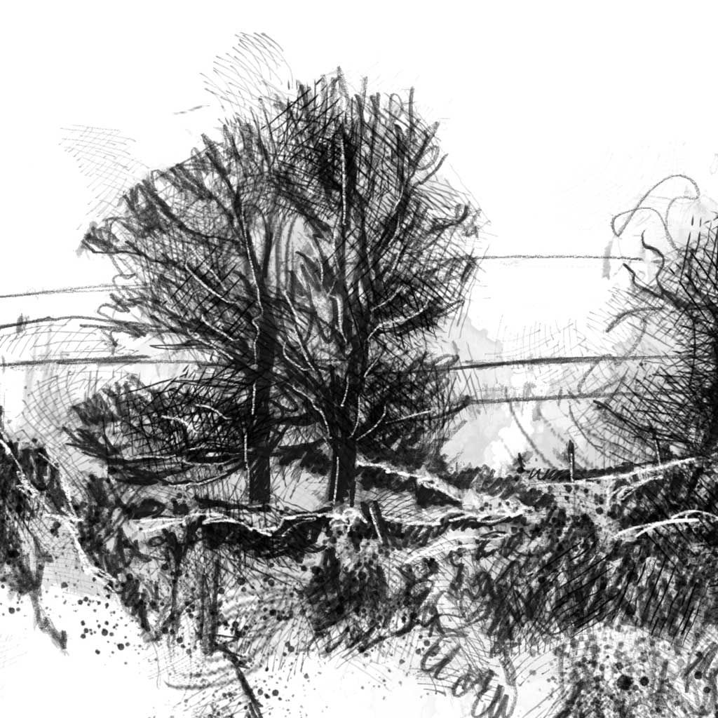 Snowy lane - BW Sketch