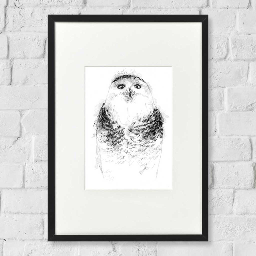 Snowy owl