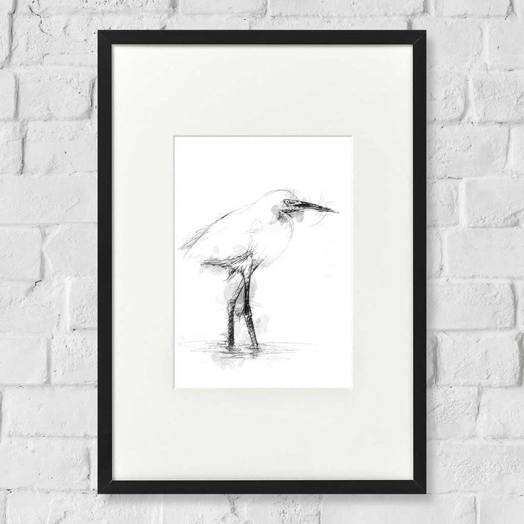 Snowy egret