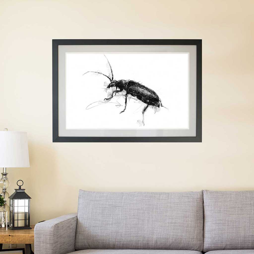 Soldier beetle