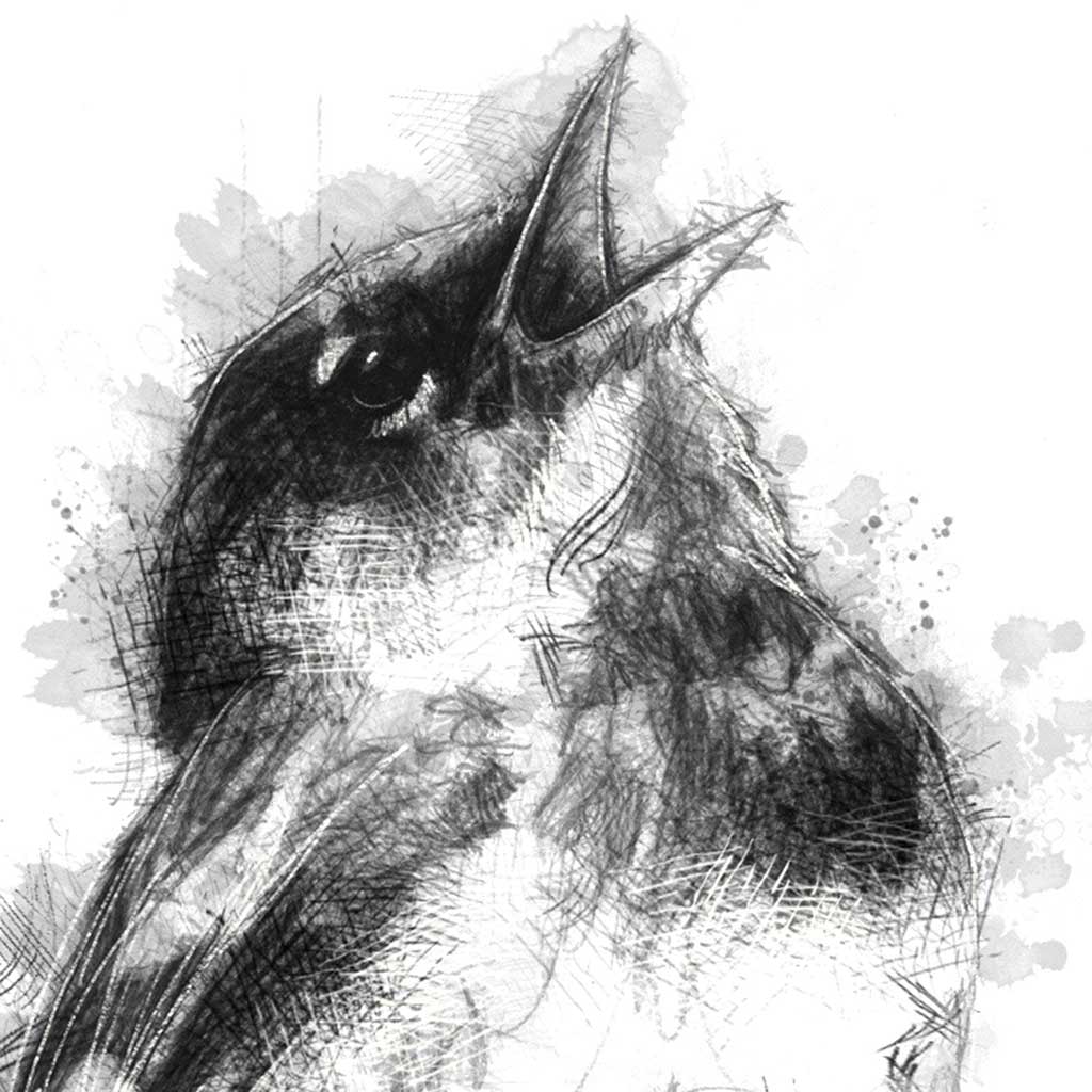 Song bird