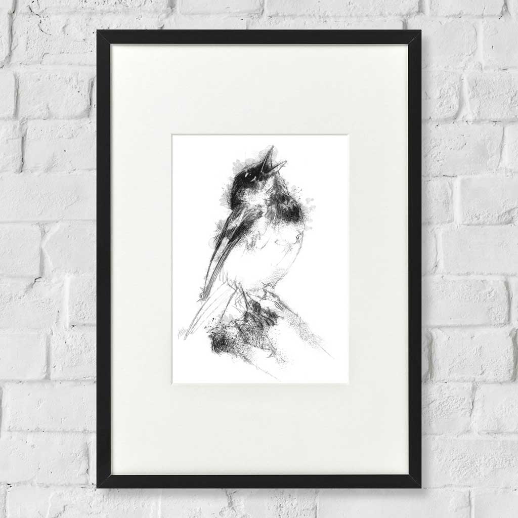 Song bird