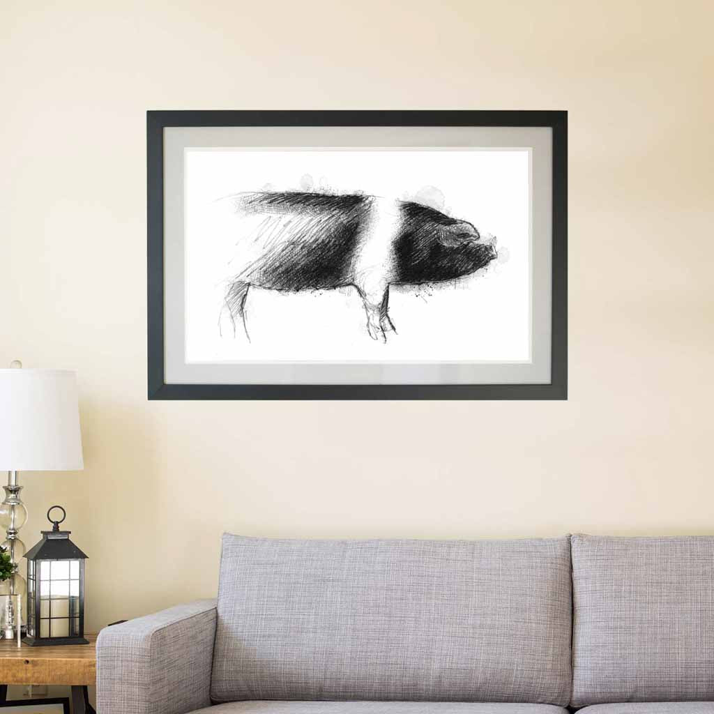 Saddleback sow