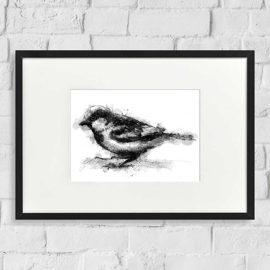 House sparrow