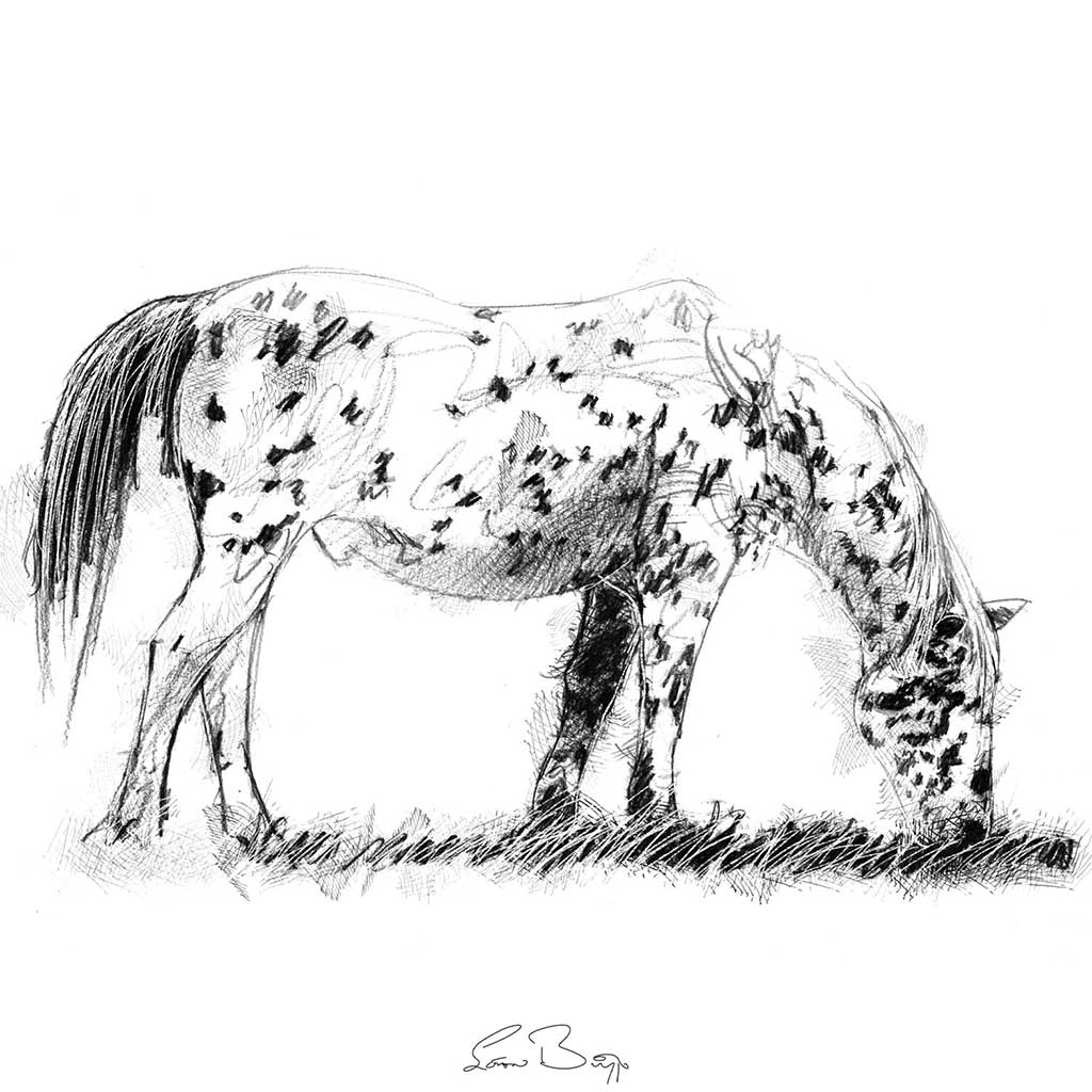 Speckled horse