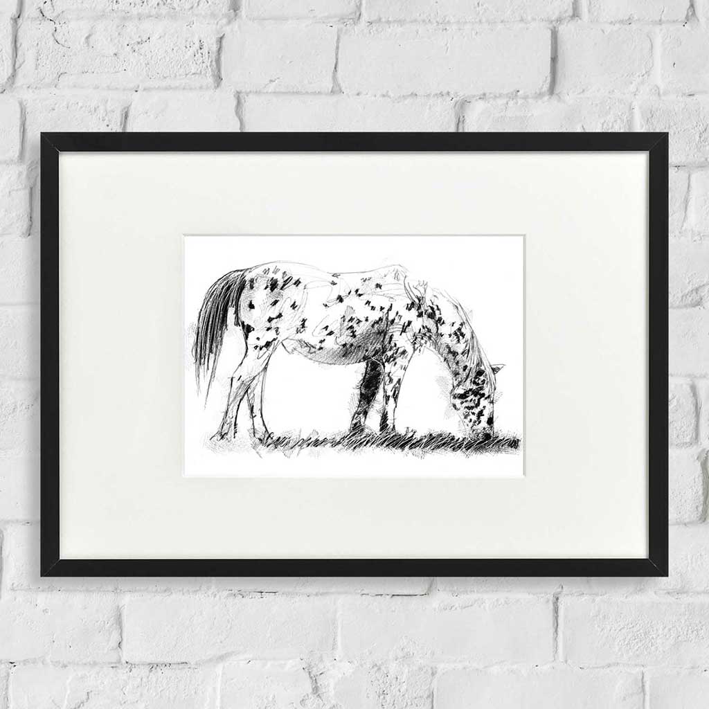 Speckled horse