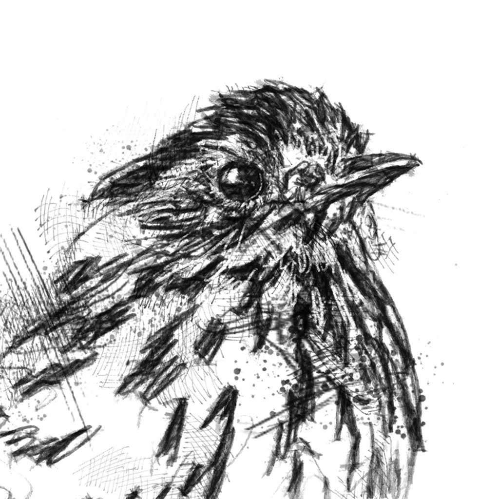 Speckled warbler