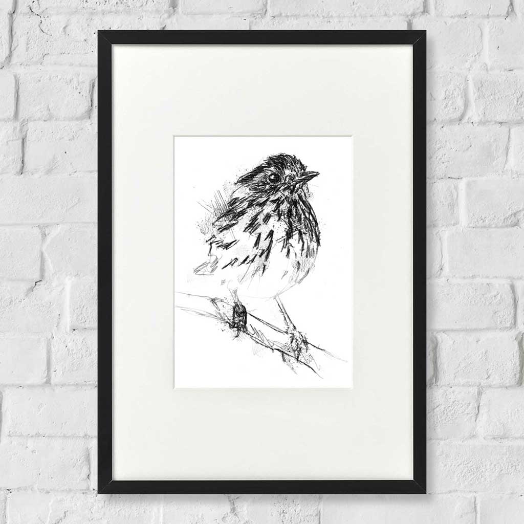 Speckled warbler