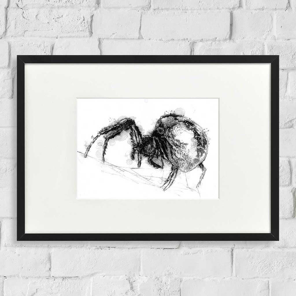 Domestic spider