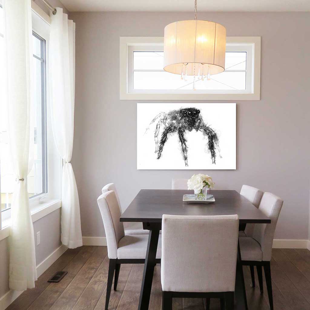 Spider