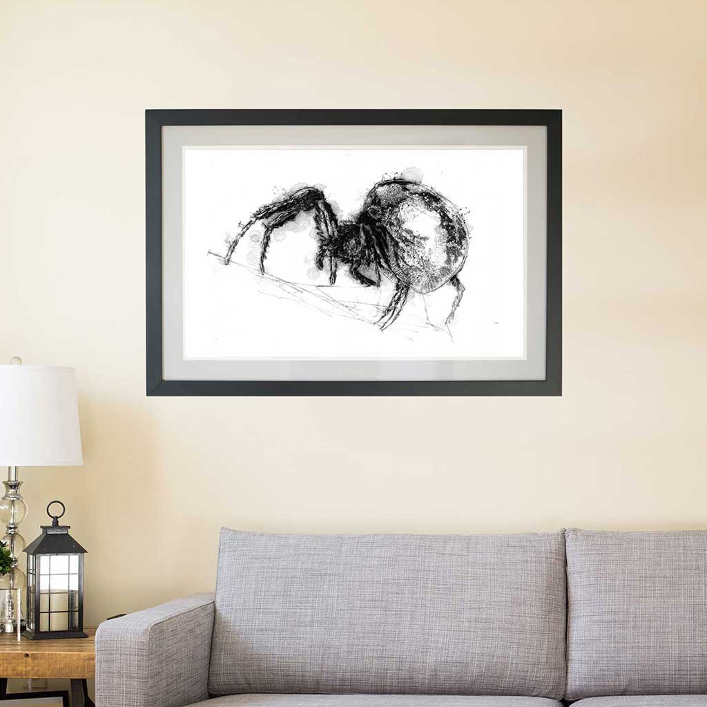 Domestic spider