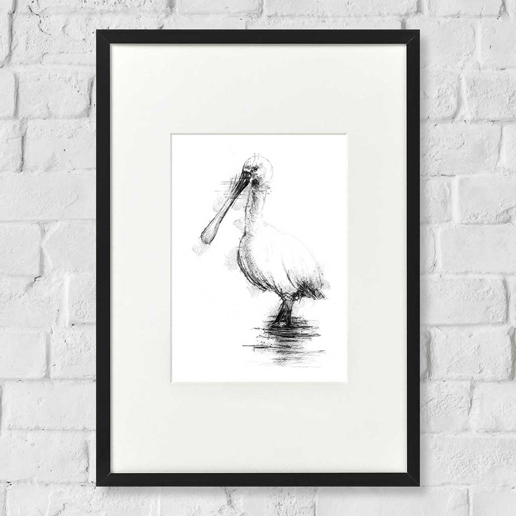 Spoonbill