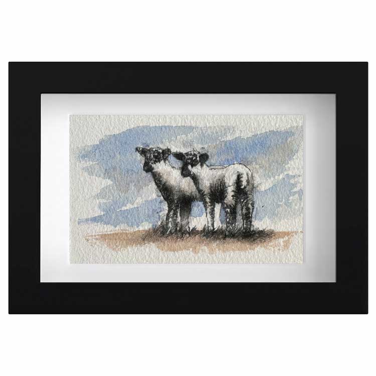 Spring lambs mini sketch