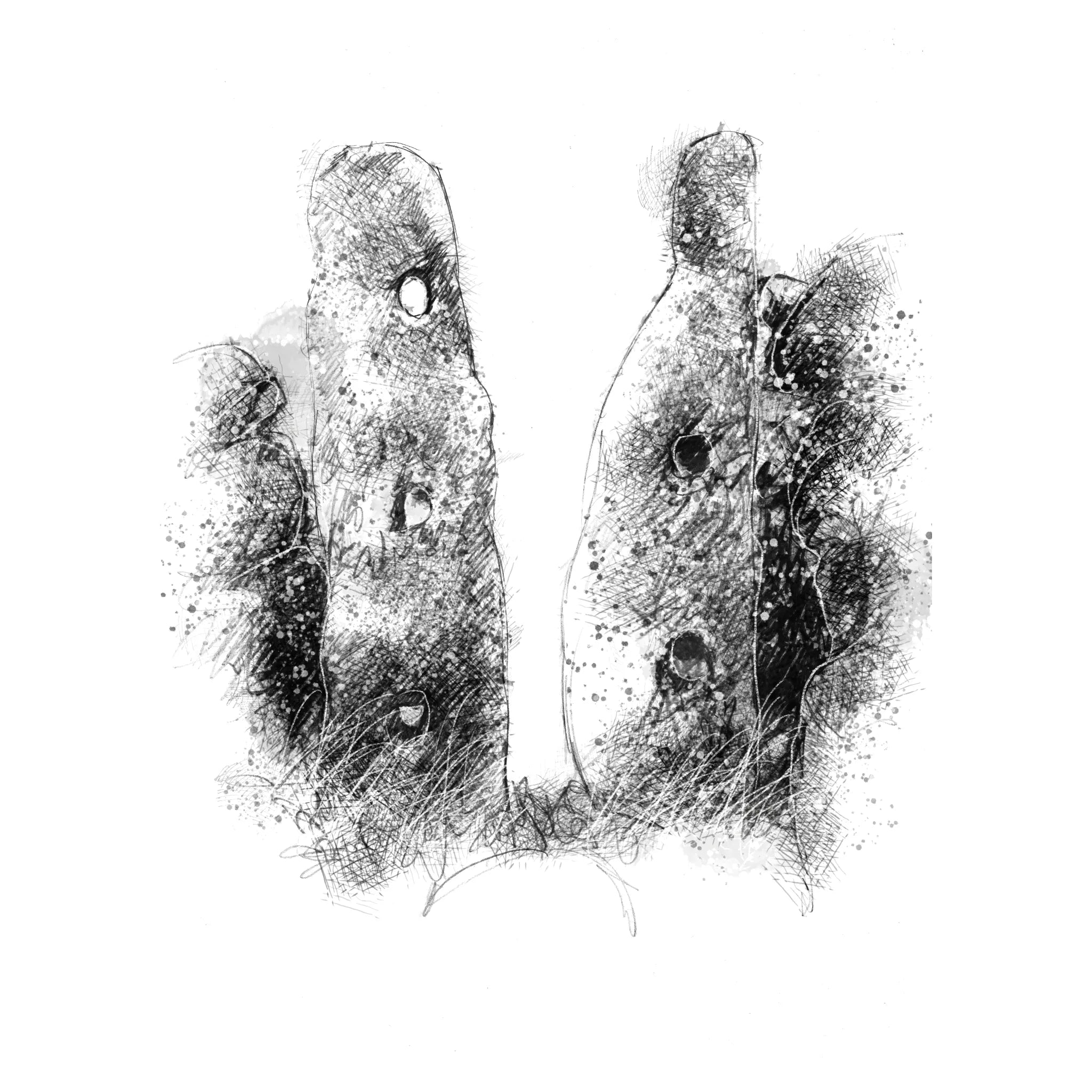 Squeeze stile - BW Sketch