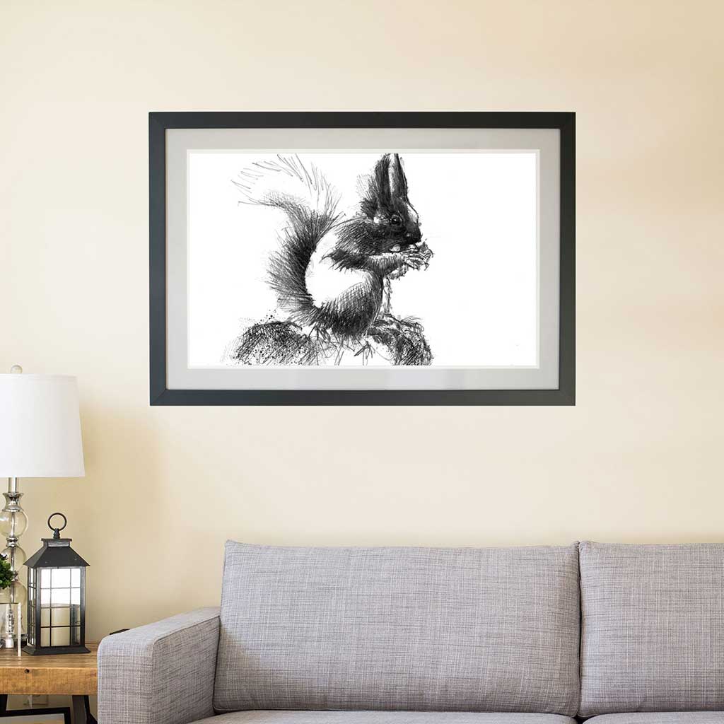 Red squirrel