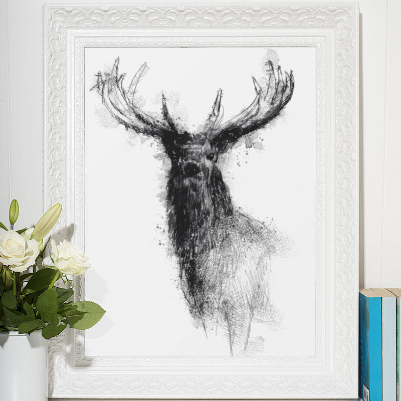 Red deer stag
