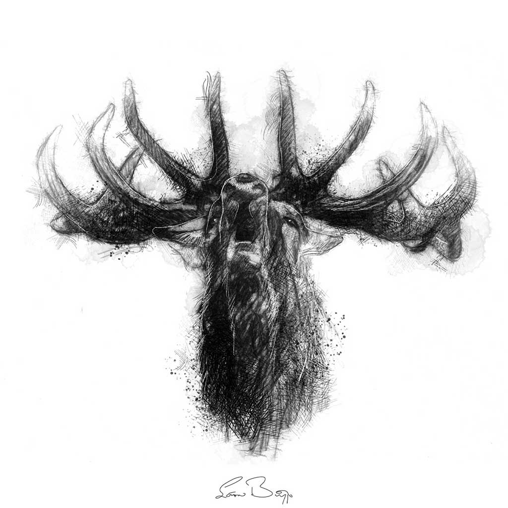 Bellowing stag