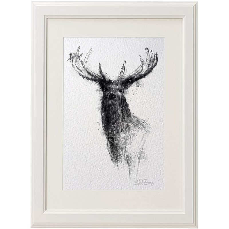 Red deer stag