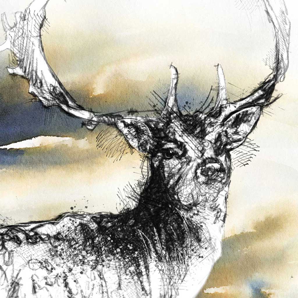 Stag dawn