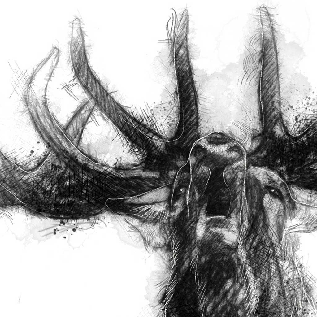 Bellowing stag