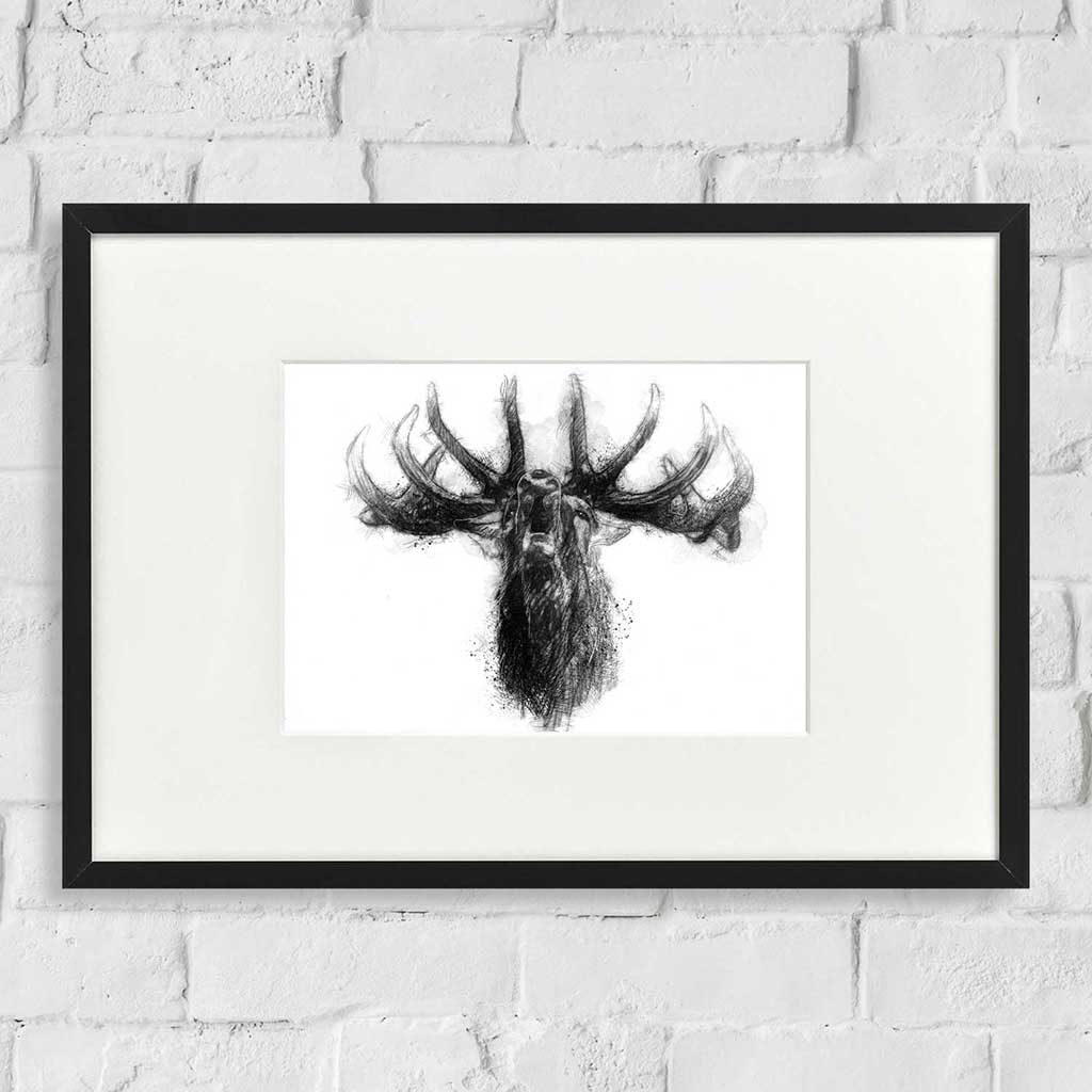 Bellowing stag