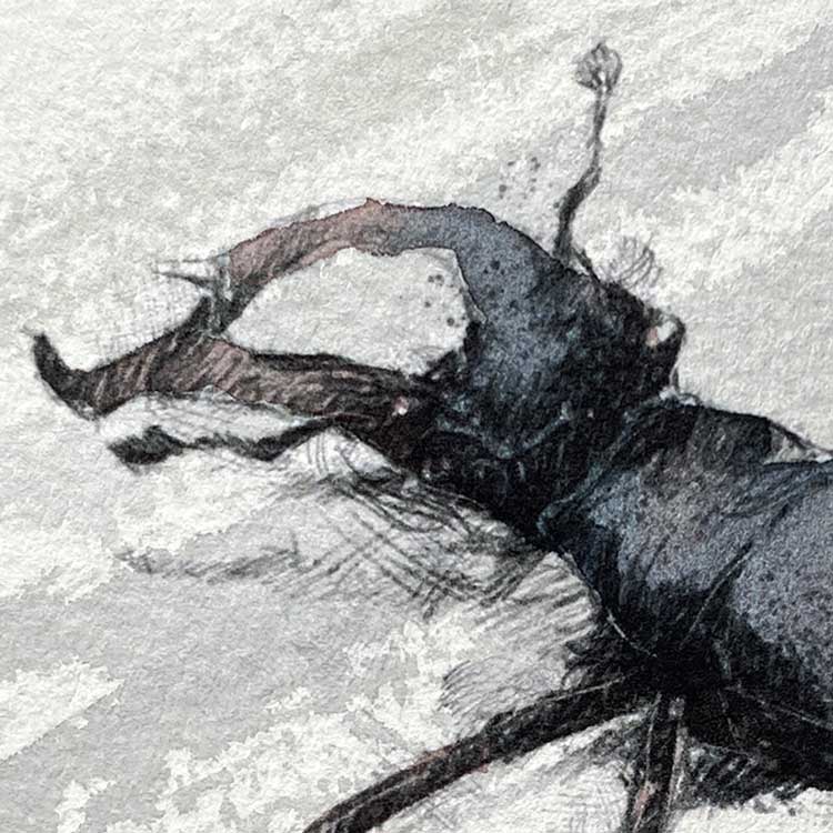 Stag beetle original mini sketch