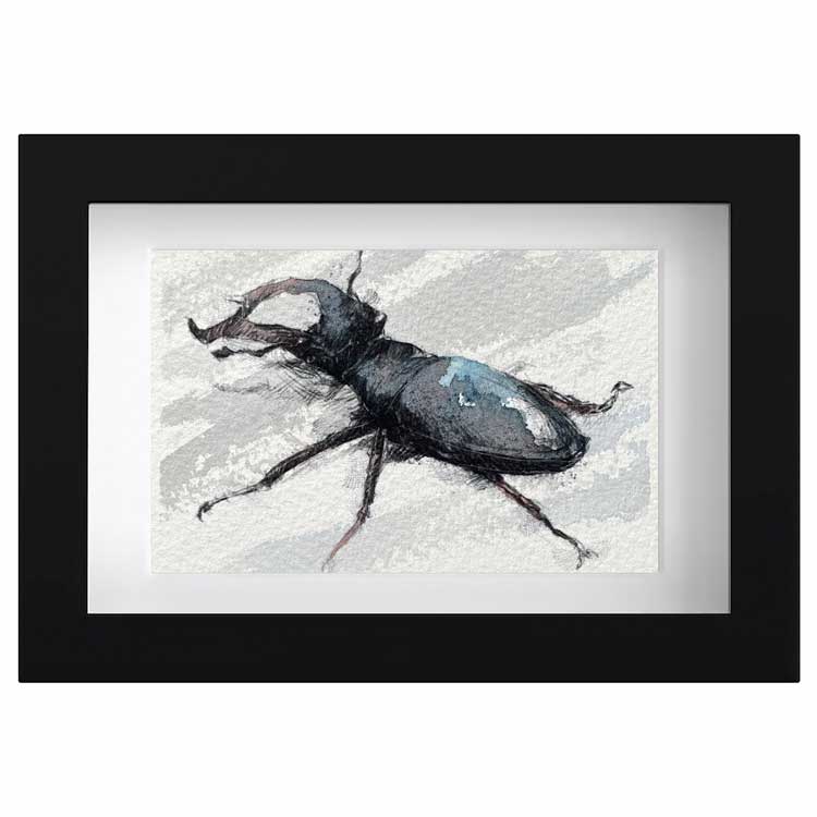 Stag beetle original mini sketch