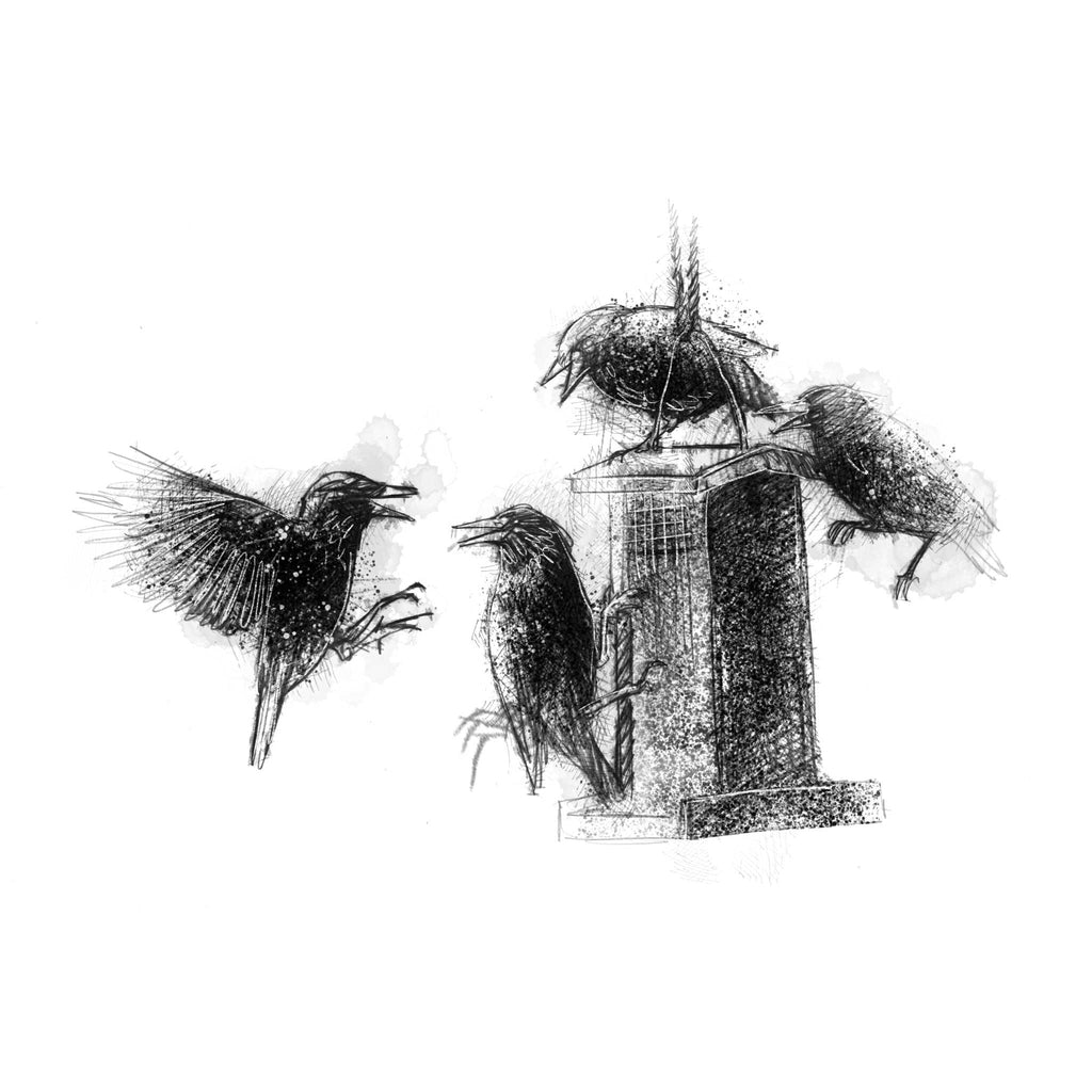 starlings on a bird feeder sketch
