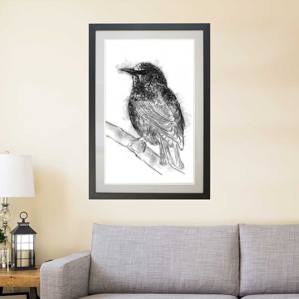 Starling