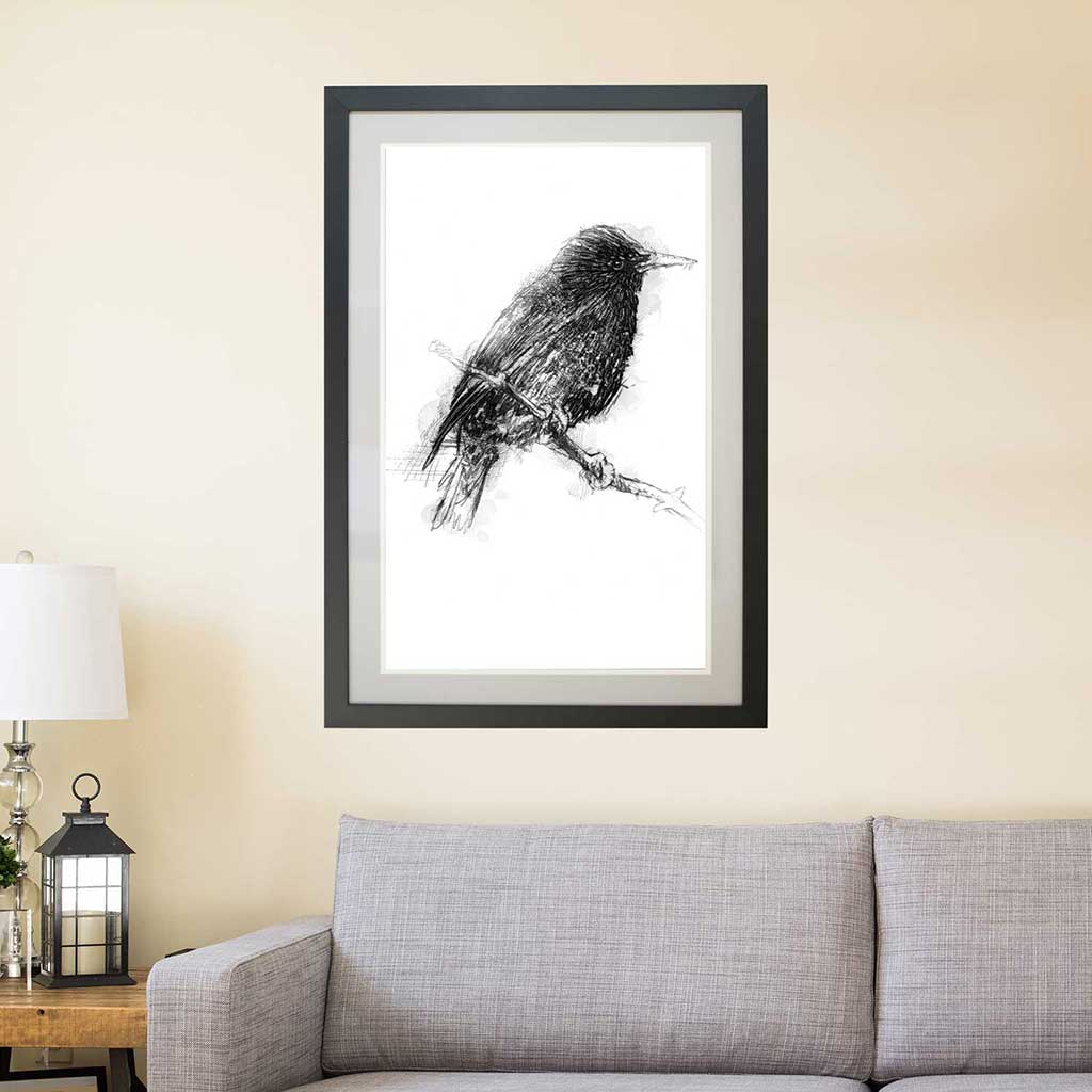 Starling
