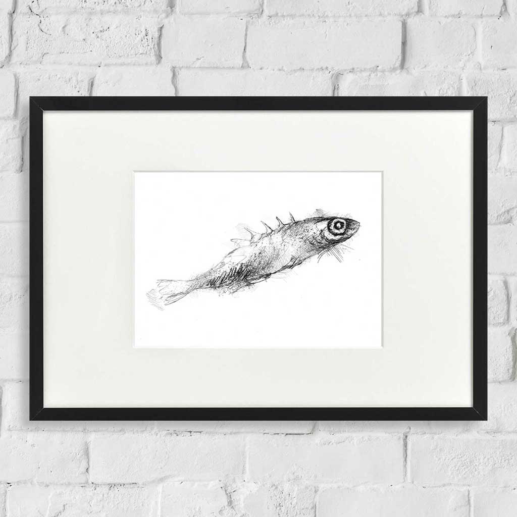 Stickelback fish