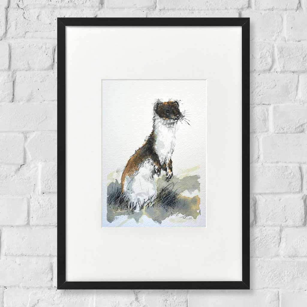 Stoat original sketch